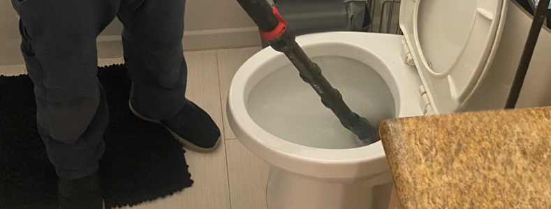 https://honesteeplumbing.com/wp-content/uploads/2024/03/service-toilet-repair-replacement-article-789x300.png