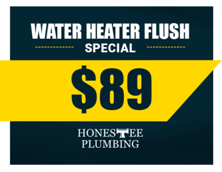 https://honesteeplumbing.com/wp-content/uploads/2024/11/offers-water-heater-flush-special-450x350.png